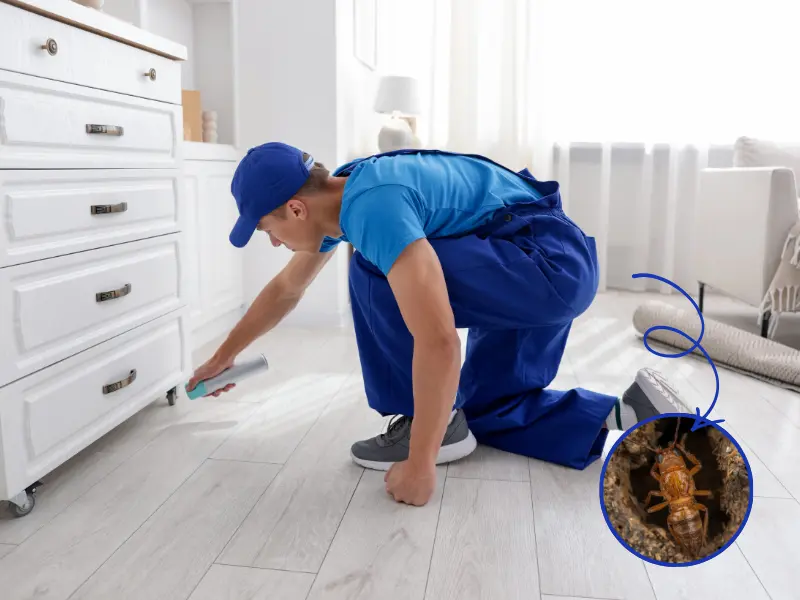 Pre-construction termite soil treatment for a building foundation in Dubai